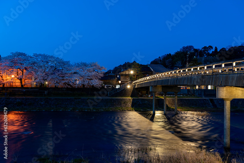 金沢・風情ある浅野川のほとりの桜並木と梅ノ橋