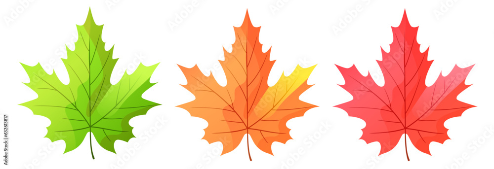 Autumn leaves. Set of maple leaves. Yellow, red and green maple leaves. Vector clipart. Autumn leaves. Set of maple leaves. Yellow, red and green maple leaves. Vector clipart.