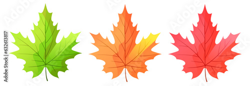 Autumn leaves. Set of maple leaves. Yellow, red and green maple leaves. Vector clipart.