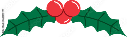 Christmas mistle toe flat icon