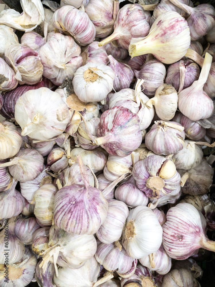 Garlic on the counter of a grocery hypermarket, sale of fresh vegetables. Vertical photo Garlic on the counter of a grocery hypermarket, sale of fresh vegetables. Vertical photo