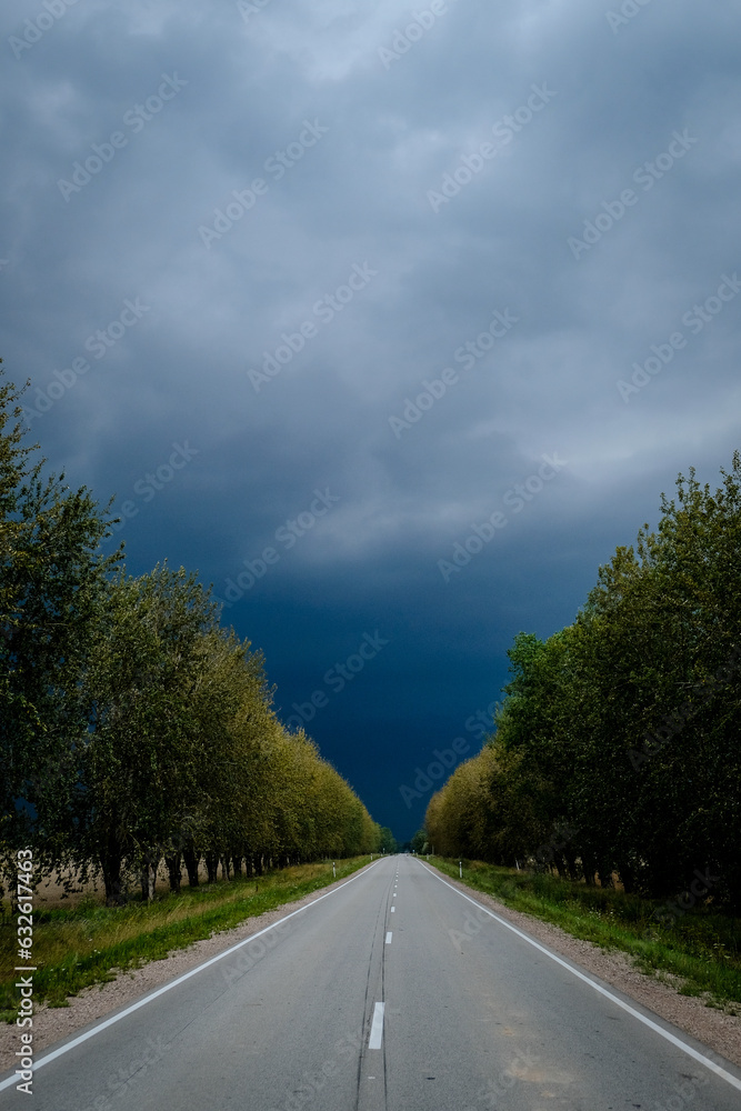 A lonely road in the summer before a threatening storm. Storm in summer. thunder clouds. A lonely road in the summer before a threatening storm. Storm in summer. thunder clouds.