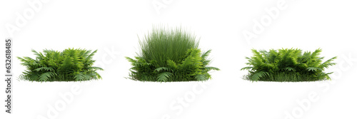 Group of fern leaves on transparent background 3d rendering png