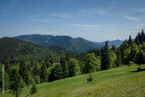 landscape in the summer in Ukrainian Carpathian