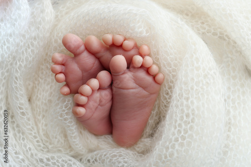 Legs, toes, feet and heels of newborn twins. Wrapped in a knitted white blanket. Studio macro photography of the legs of newborn twins, close-up. Two newborns.