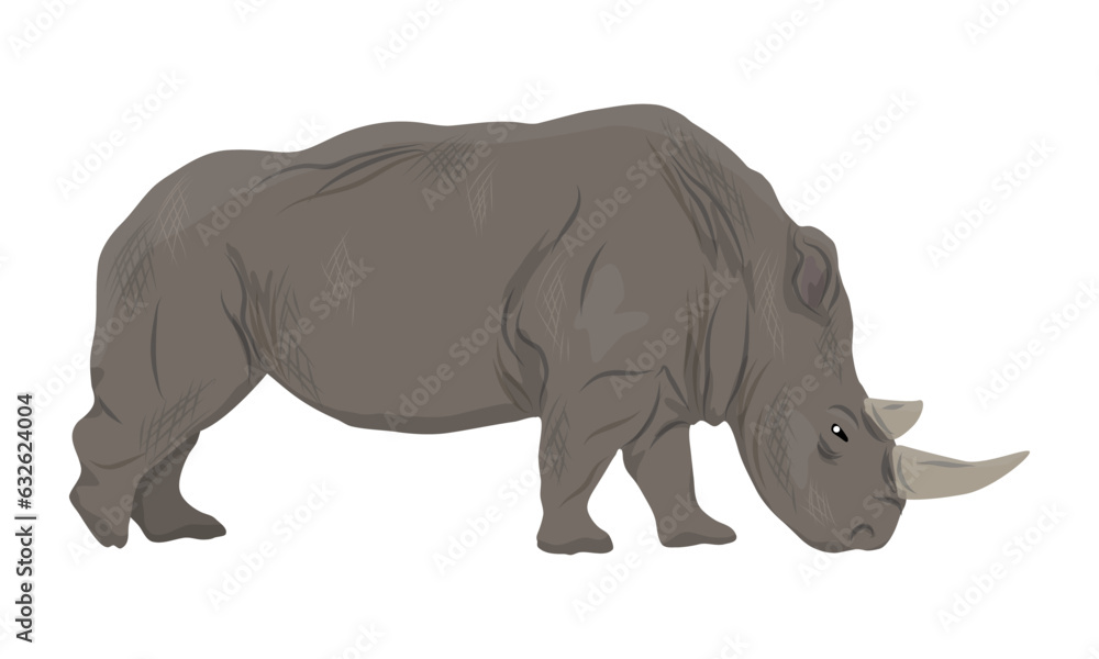 African white rhinoceros. Realistic vector animal