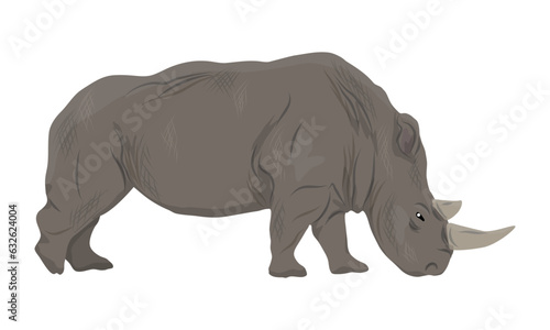 African white rhinoceros. Realistic vector animal