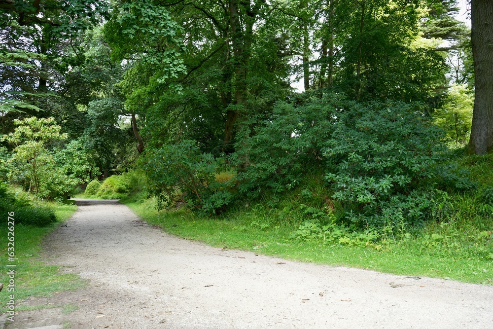 Footpath through a forest in Derbyshire, UK Footpath through a forest in Derbyshire, UK