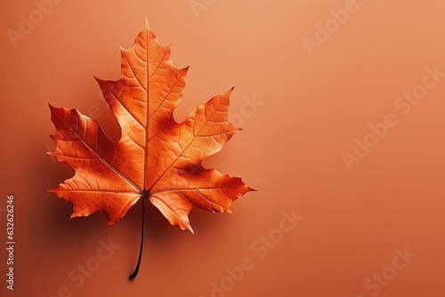 Autumn maple leaf on orange background  copy space