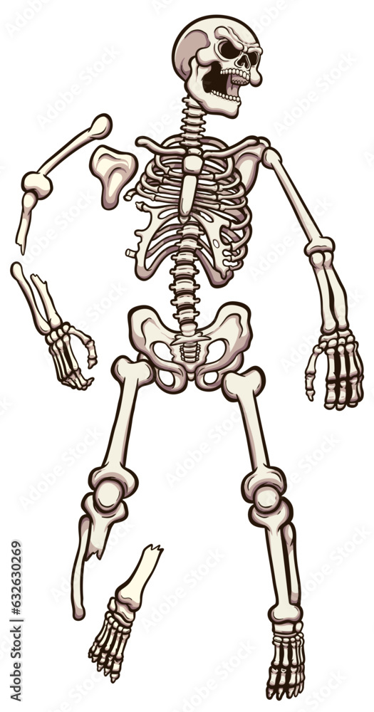 Cartoon Laying Skeleton. Vector illustration with simple gradients ...