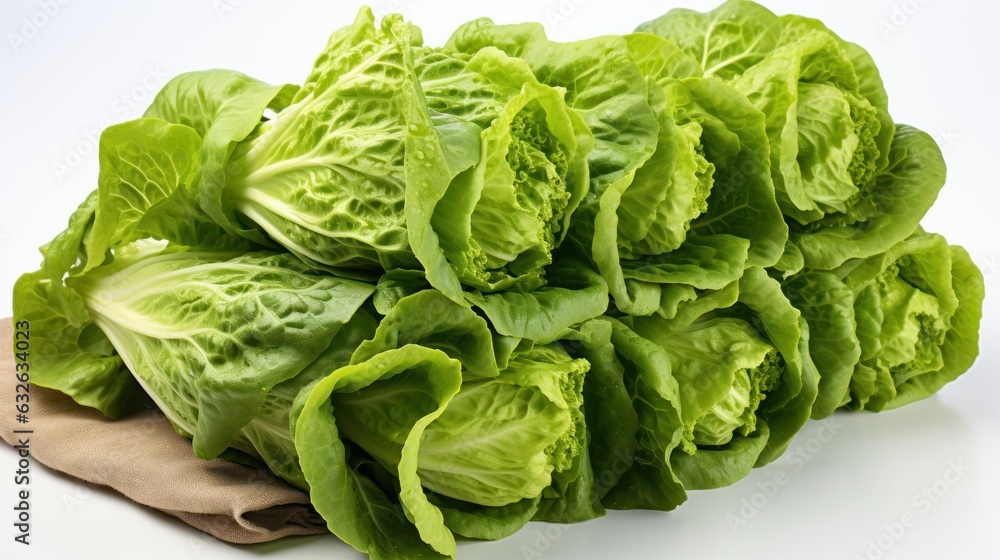 ripe organic green fresh lettuce salad Romano, ai generative ripe organic green fresh lettuce salad Romano, ai generative
