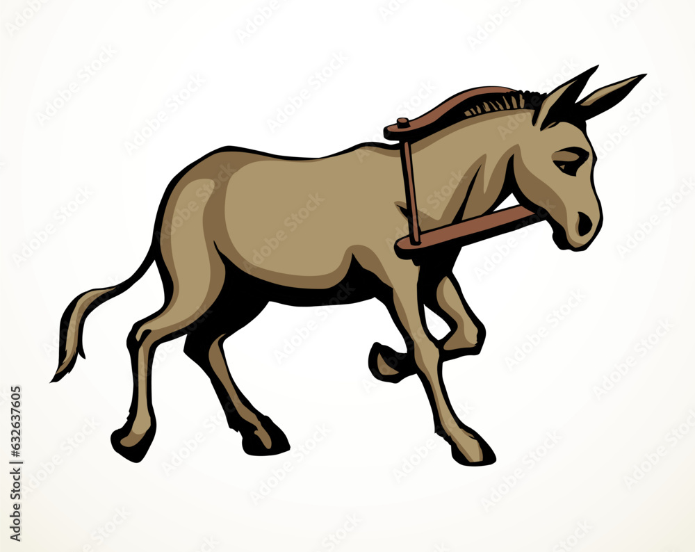 Fototapeta premium Vector drawing. Cute old mule