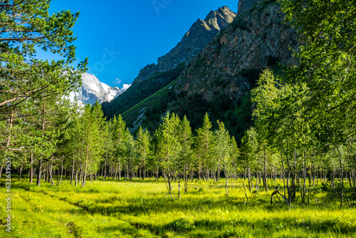 landscape in the mountains