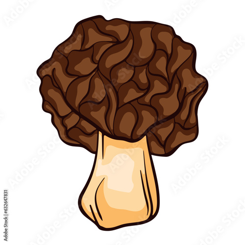 False morel inedible mushroom in cartoon style. Great for menu, label, product packaging, recipe. Vector illustration isolated on a white background. Morchella Gyromitra esculenta.