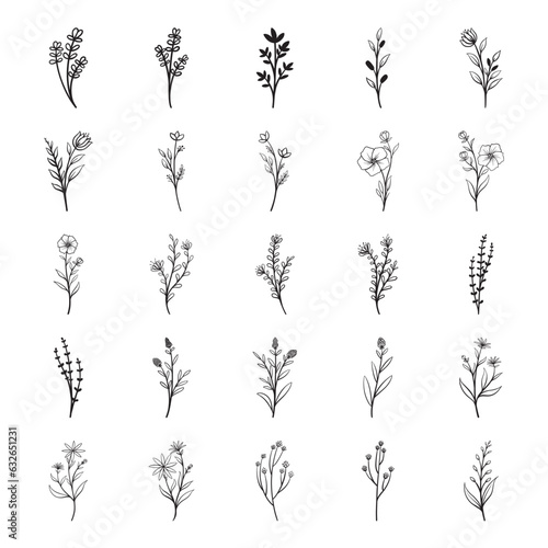 Set of hand drawn flower and leaves vector