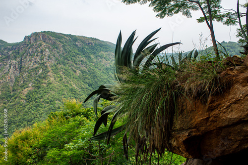 Beautiful landscape of the kolli hills in the Namakkal district, Tamil Nadu. photo