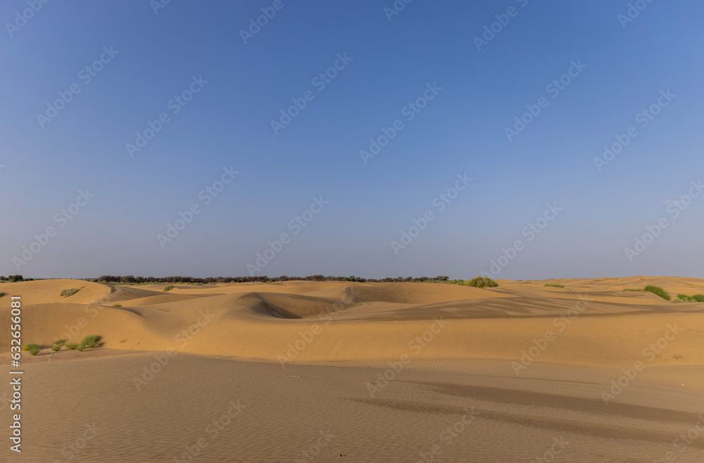 Sand Dunes At Jaisalmer India 