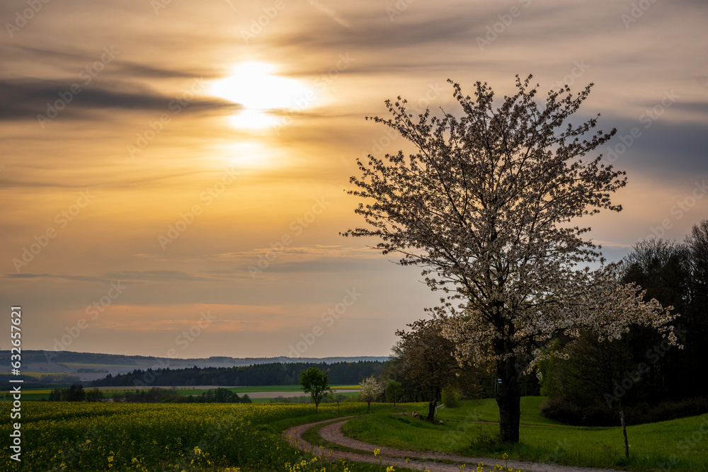 Obraz premium sunset in the city