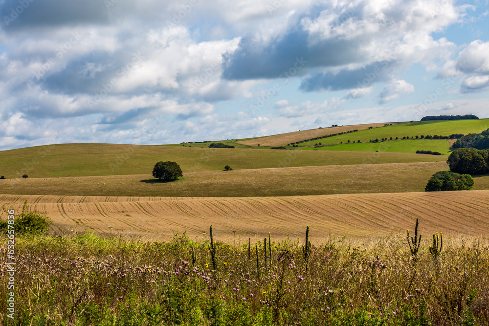 A view over the South Downs in Sussex, on a sunny summer's day