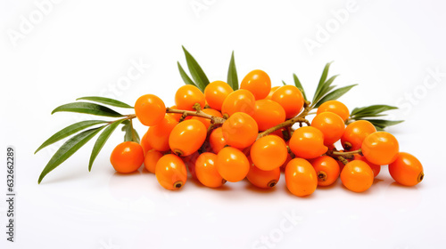 Sea buckthorn isolated on a white background. photo