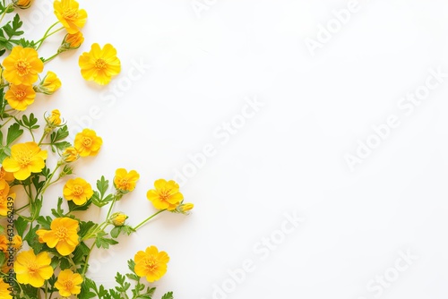 Banner image of yellow flowers on a white background with copy space.