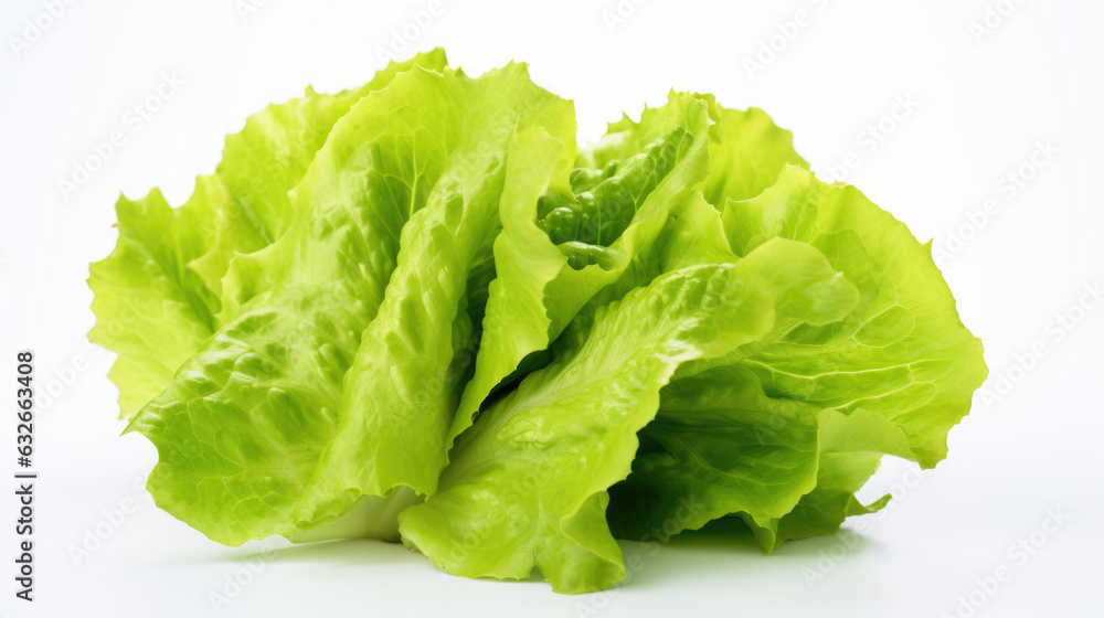 Lettuce isolated on a white background. Lettuce isolated on a white background.