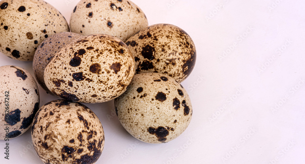 Small quail eggs on white background. Eco products. Horizontal format.