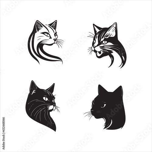 Fototapeta Naklejka Na Ścianę i Meble -  black and white cats