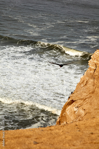 Paracas is a city on the west coast of Peru. It is known for its beaches, such as El Chaco, located in the sheltered bay of Paracas. The city is a departure point to the uninhabited Ballestas Islands.
