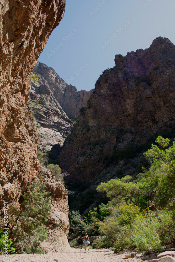 Big Bend National Park Canyon Below with Hiker Photo Big Bend National Park Canyon Below with Hiker Photo