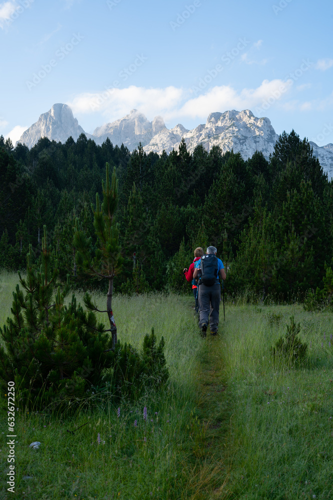 Hikers in the early morning walk across the grass towards the forest with rocky peaks in the background.
