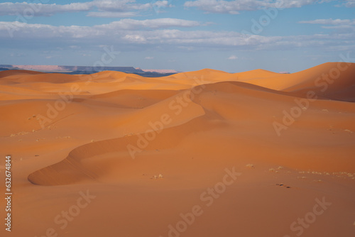 Sahara Morocco  Majestic desert expanse  offering golden dunes  captivating landscapes  and an enchanting experience under the starlit desert skies. High quality photo