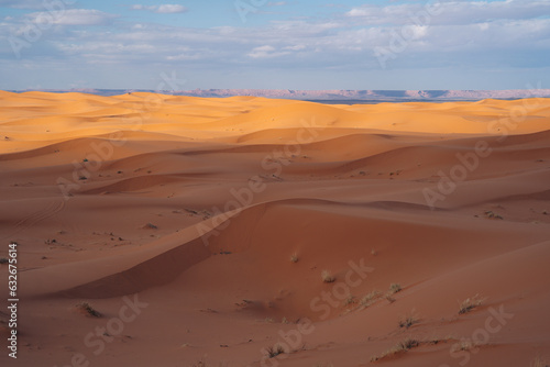 Sahara Morocco: Majestic desert expanse, offering golden dunes, captivating landscapes, and an enchanting experience under the starlit desert skies. High quality photo