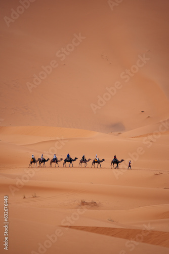 Camels in Sahara Morocco: Experience desert journeys atop these gentle creatures, exploring the vast dunes and embracing the magic of the Sahara. High quality photo