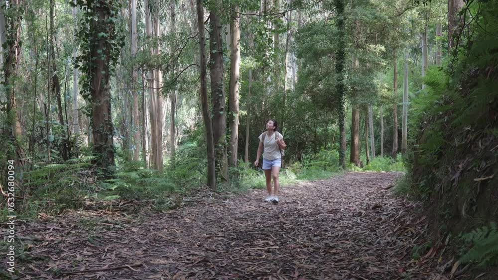 Adventurous Woman in the Enchanting Forest Adventurous Woman in the Enchanting Forest