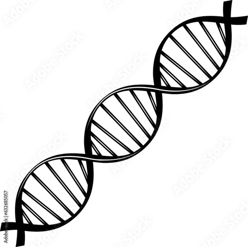 dna strand on white background