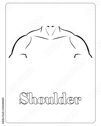 Sleek human shoulder anatomy illustration showing strong muscles for fitness and physical training