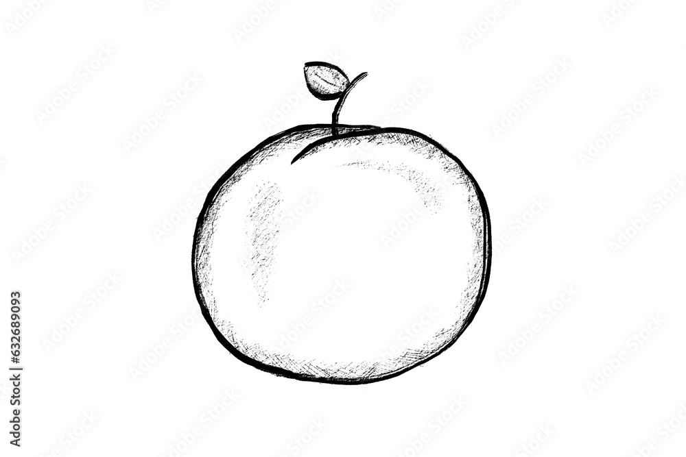 A hand drawn isolated peach. Good for any project. A hand drawn isolated peach. Good for any project.