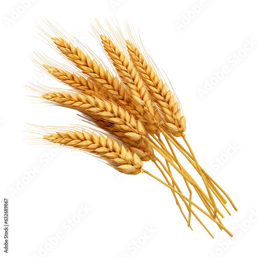 Isolated wheat ears or heads, used as package design element with clipping path. photo