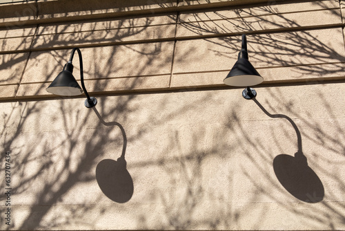 Shadow of gooseneck lights and bare tree branches on storefront wall