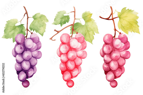 Vector Grapes Set of Grapes and Vine Leaves Watercolor. Generative AI