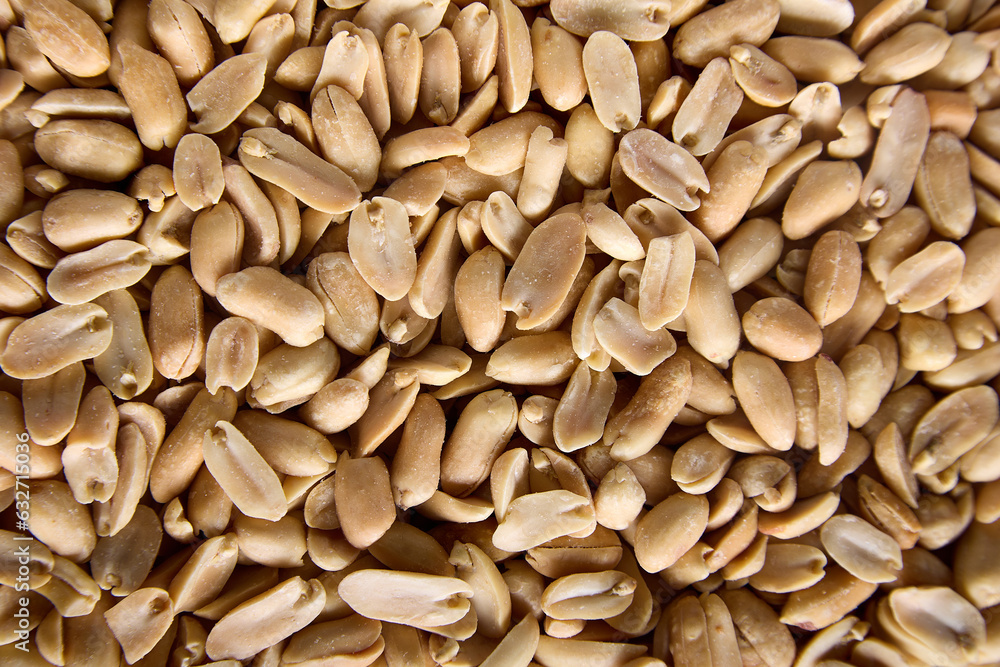 Peeled peanuts for a close-up background. Halves of roasted, peeled and salted peanuts for the photophone. Plant-Based Healthy Protein Source for Vegetarians Peeled peanuts for a close-up background. Halves of roasted, peeled and salted peanuts for the photophone. Plant-Based Healthy Protein Source for Vegetarians