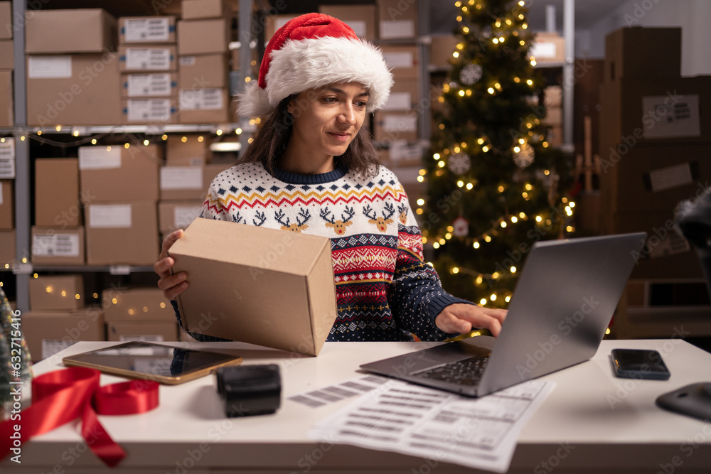 Employee in retail shop's warehouse in Santa hat. Small Business Owner working on laptop, preparing and packing parcels for delivery in Christmas Eve. Employee in retail shop's warehouse in Santa hat. Small Business Owner working on laptop, preparing and packing parcels for delivery in Christmas Eve.