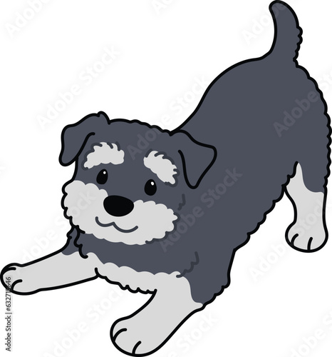 Simple and cute illustration of Miniature Schnauzer being playful