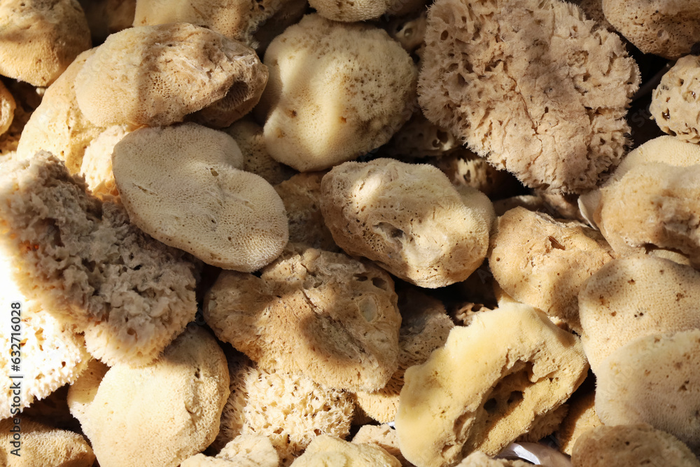 Natural dry bath sponges at local market in a sunny day. Morning or evening beauty routine. Beauty care for face or body concept. Symi Island in Greece. Soft focus Natural dry bath sponges at local market in a sunny day. Morning or evening beauty routine. Beauty care for face or body concept. Symi Island in Greece. Soft focus
