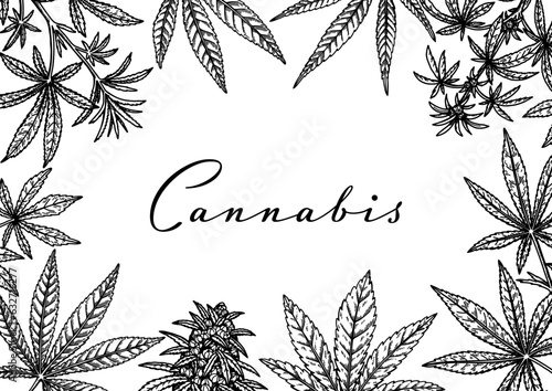 Cannabis horizontal design for packaging, social media posts, store decoration, branding, certificates. Marijuana vector illustration in sketch style. Hemp engraved background