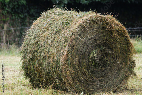 Roll of mown grass to store as livestock feed photo