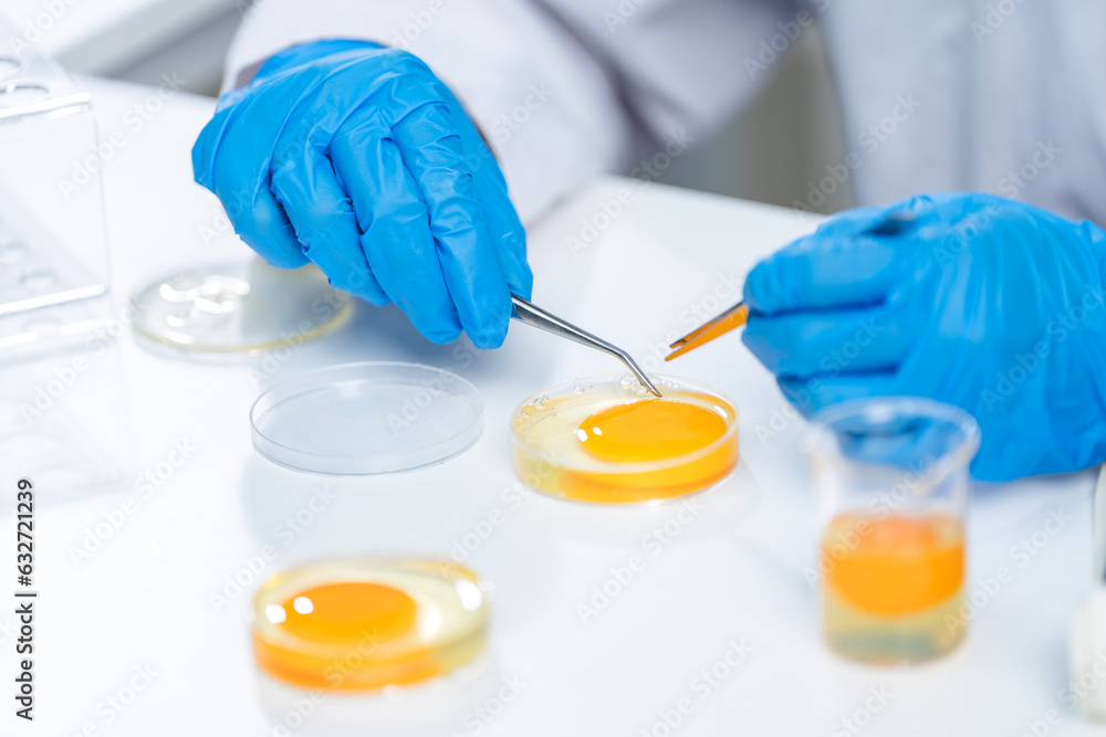 Fototapeta premium Scientist testing gmo egg for quality control of eggs in chemical laboratory, Food science expert inspecting a dairy product, Agriculture farm production industry, biotechnology medicine research