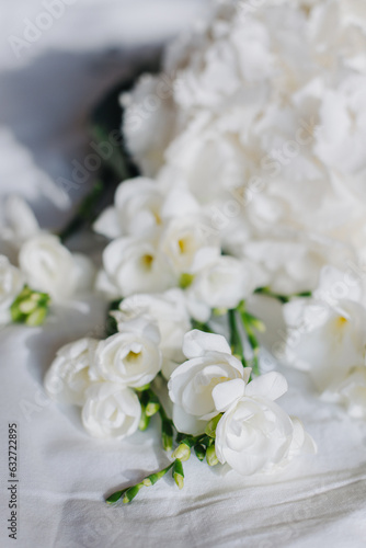 Beautiful white Freesia and Hydrangea flowers on a white background in a morning sunlight.