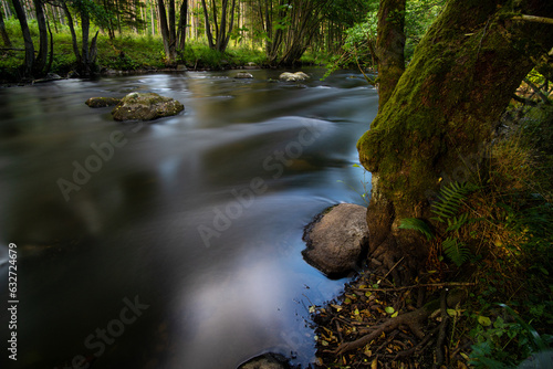 rzeka płynaca przez las